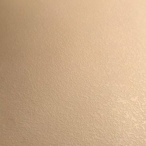 Meet your Posher, Jaime